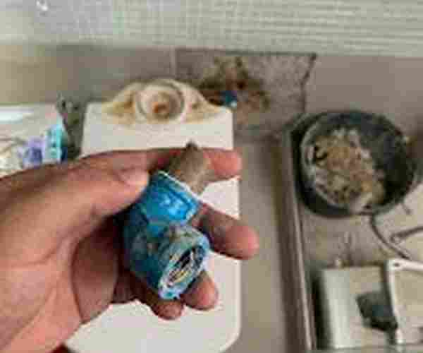 Encanador Técnico para Vazamentos de Água na Sp Capital por Fatura Alta